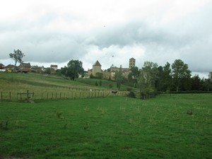 Fête du charolais : tout savoir sur la viande - Paysans de la Loire, média  d'information agricole et rurale