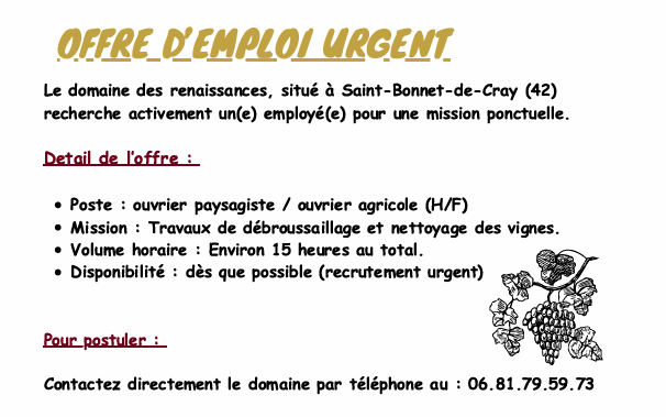 offre d'emploi urgent